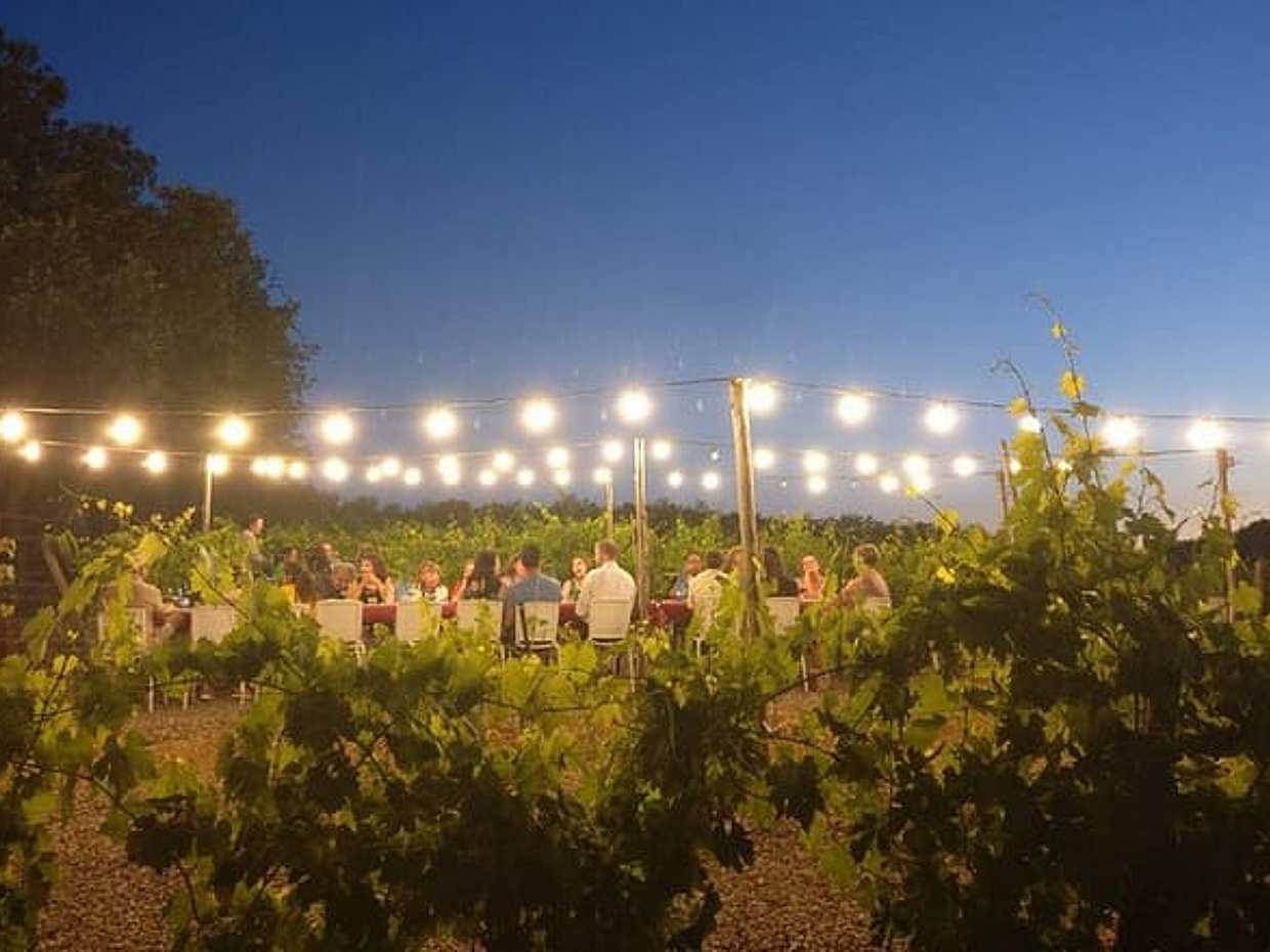 Cena tra i Vigneti in Italia, Siena