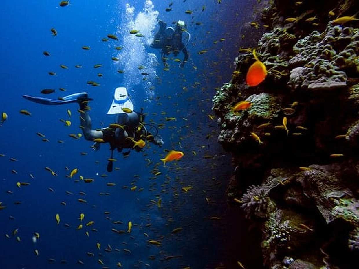 "Aventure de plongée sous-marine à Dubaï aux Émirats Arabes Unis", photo 4