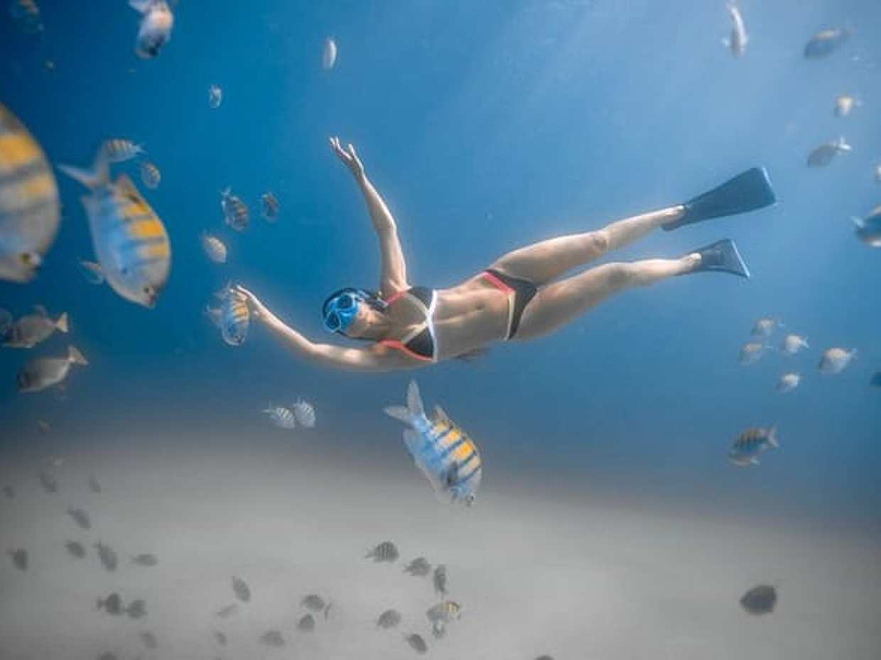 Los Cabos Snorkeling Tour to Chileno Bay and Santa Maria Cove