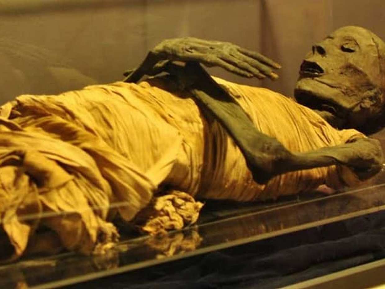 Cairo Tour To Egyptian Museum And Cairo Tower & Boat Ride On The Nile, photo 4