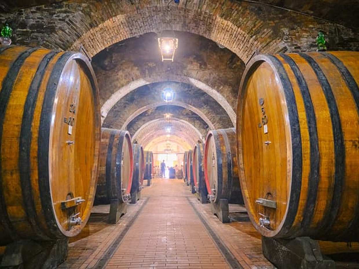 Discovering Val d’Orcia: Montepulciano & Pienza with Wine and Cheese Tastings from Rome, photo 3