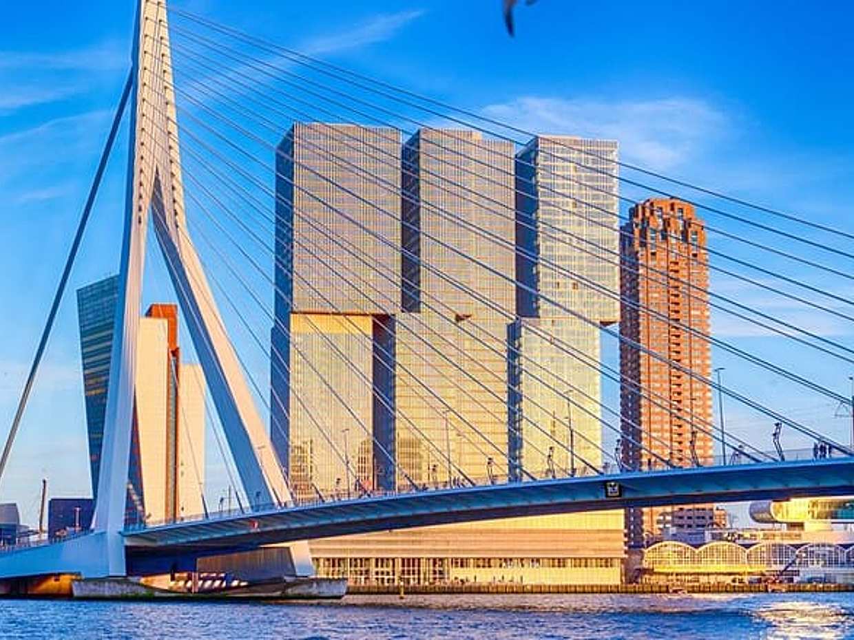 Prywatny bezpośredni transfer z portu Vlissingen do Rotterdamu w Holandii., photo 4