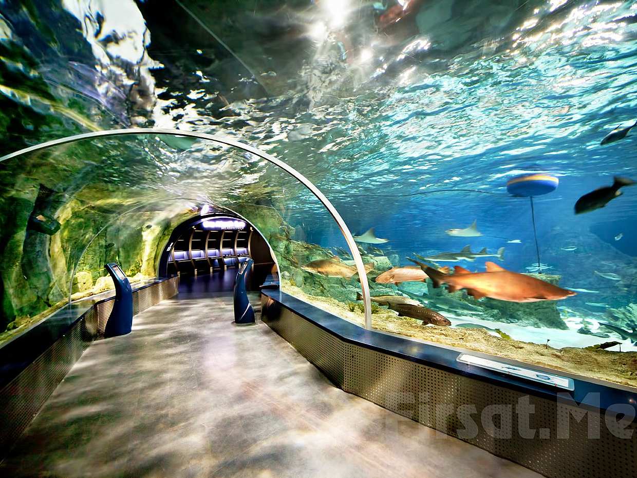 Florya Aquraium in Turkey, Florya Aquarium, photo 2