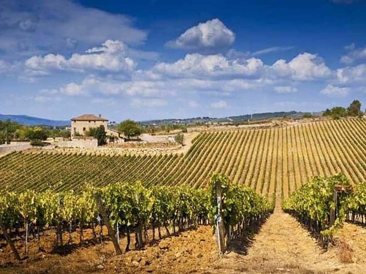 From Florence: Classic Chianti Villages, San Gimignano and Wine Roads by Minivan, photo 3