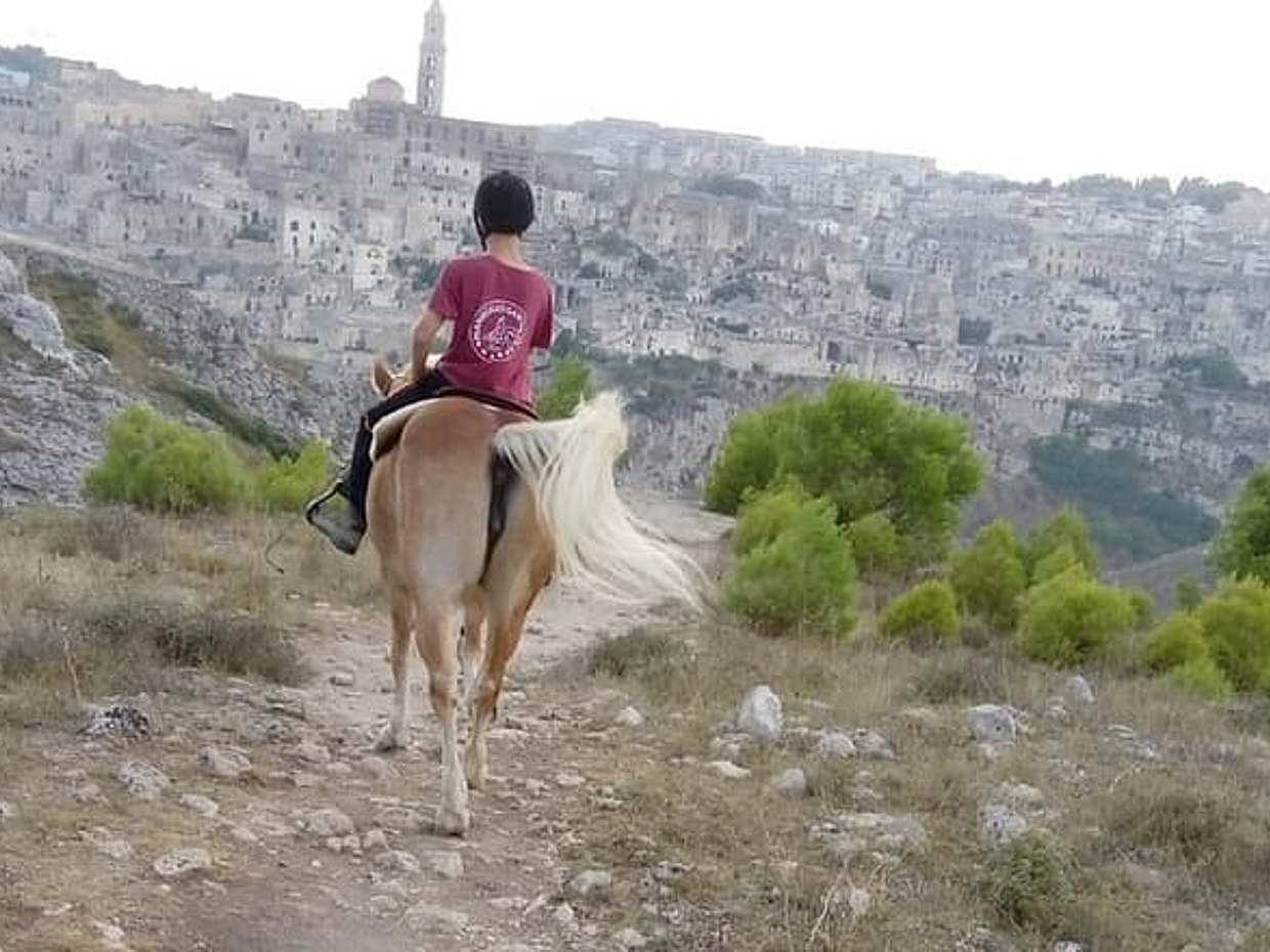 Murgia Park: Horse riding tour