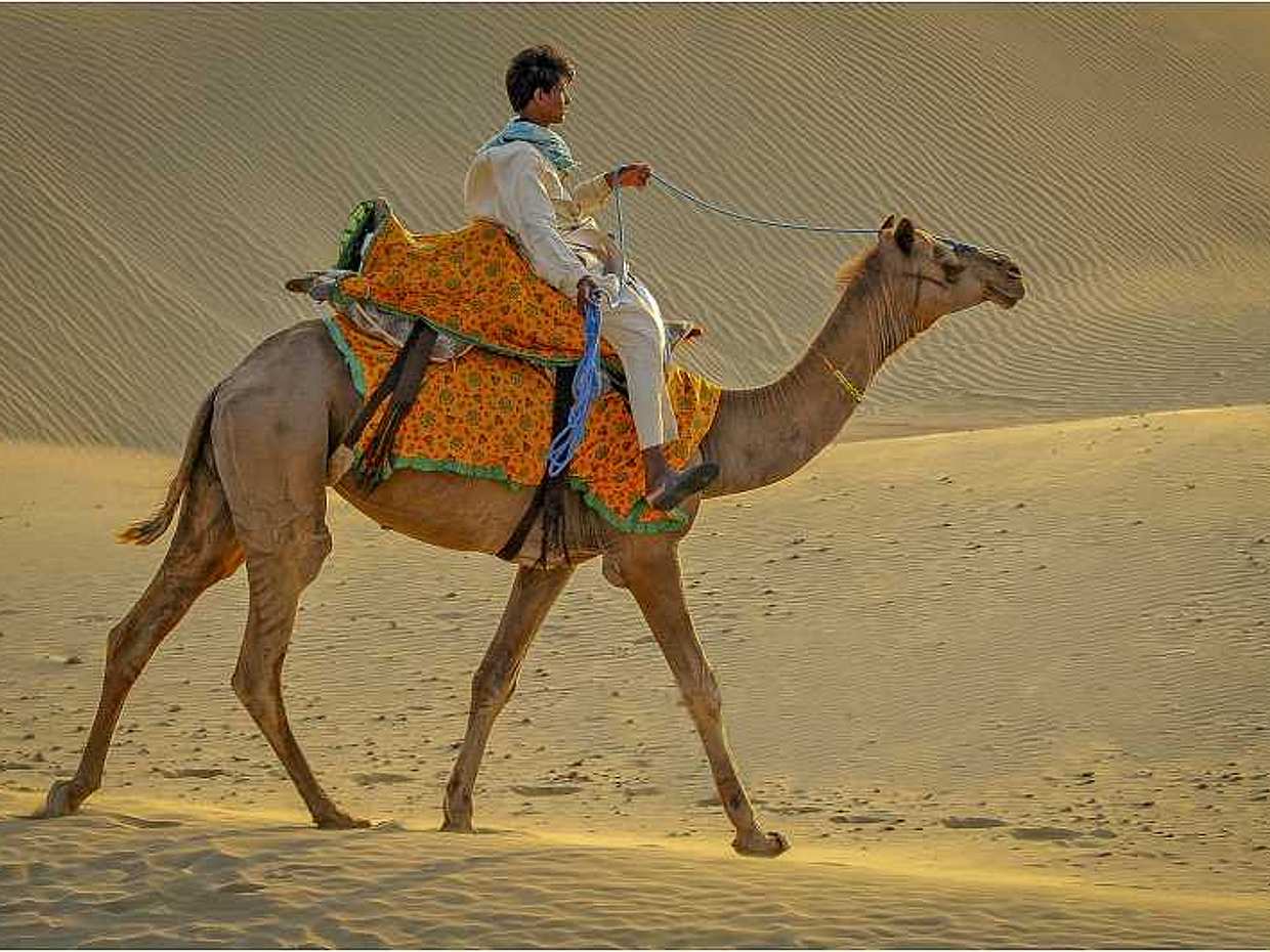 Marrakech: Excursión de 3 días al desierto de Merzouga y noche en campamento de lujo en Marruecos, Marrakech.
, photo 4