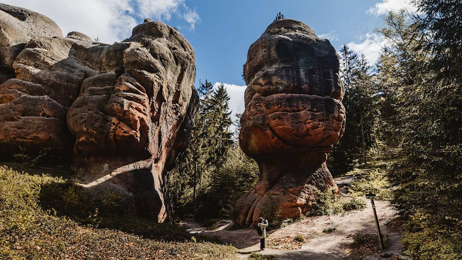 Tour naturalistico ed ecologico a Germania