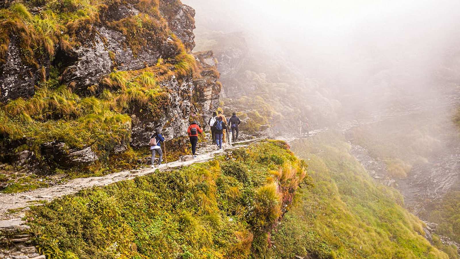 Tours in Goa