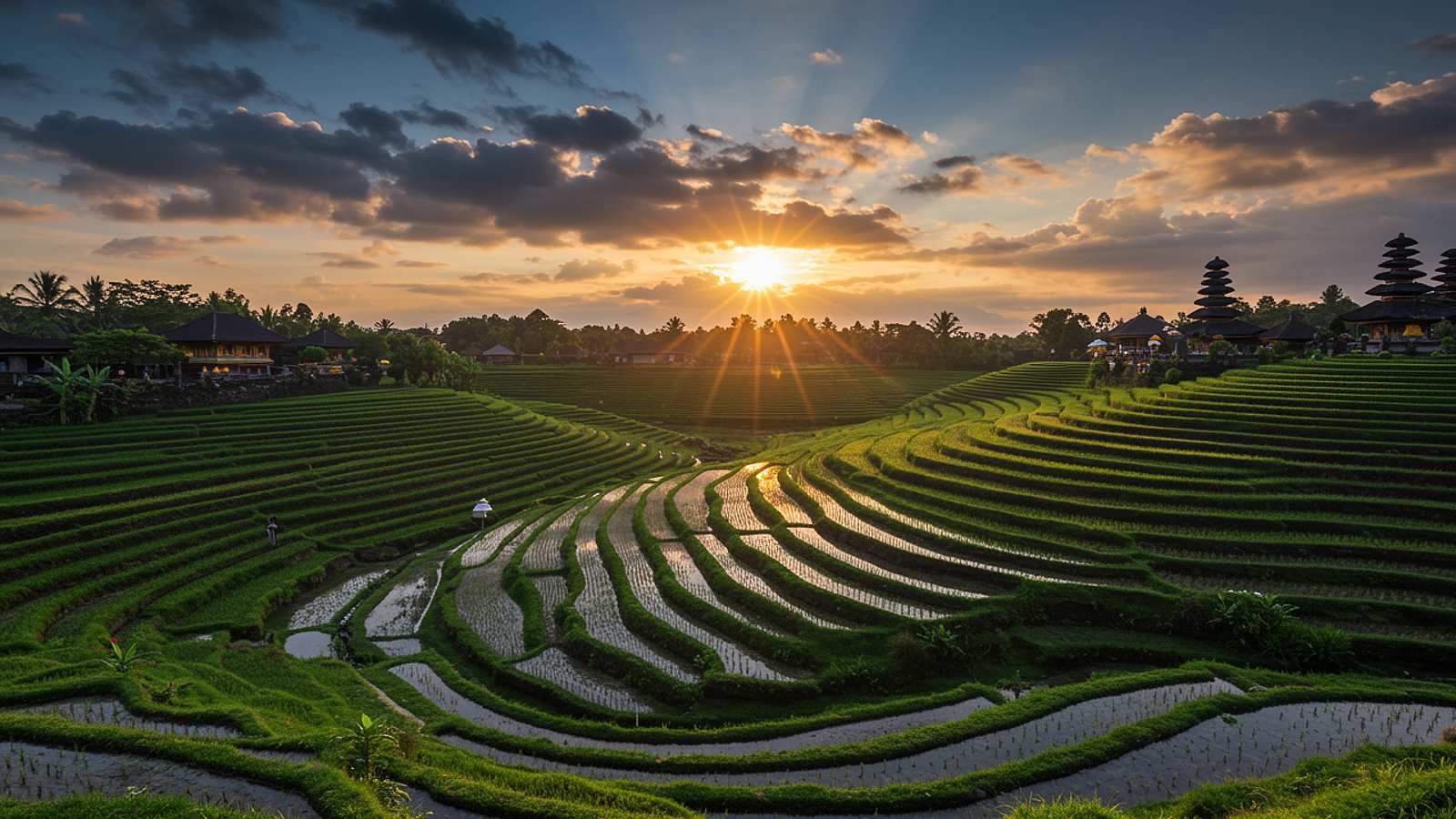 Visitas guiadas en Yogyakarta