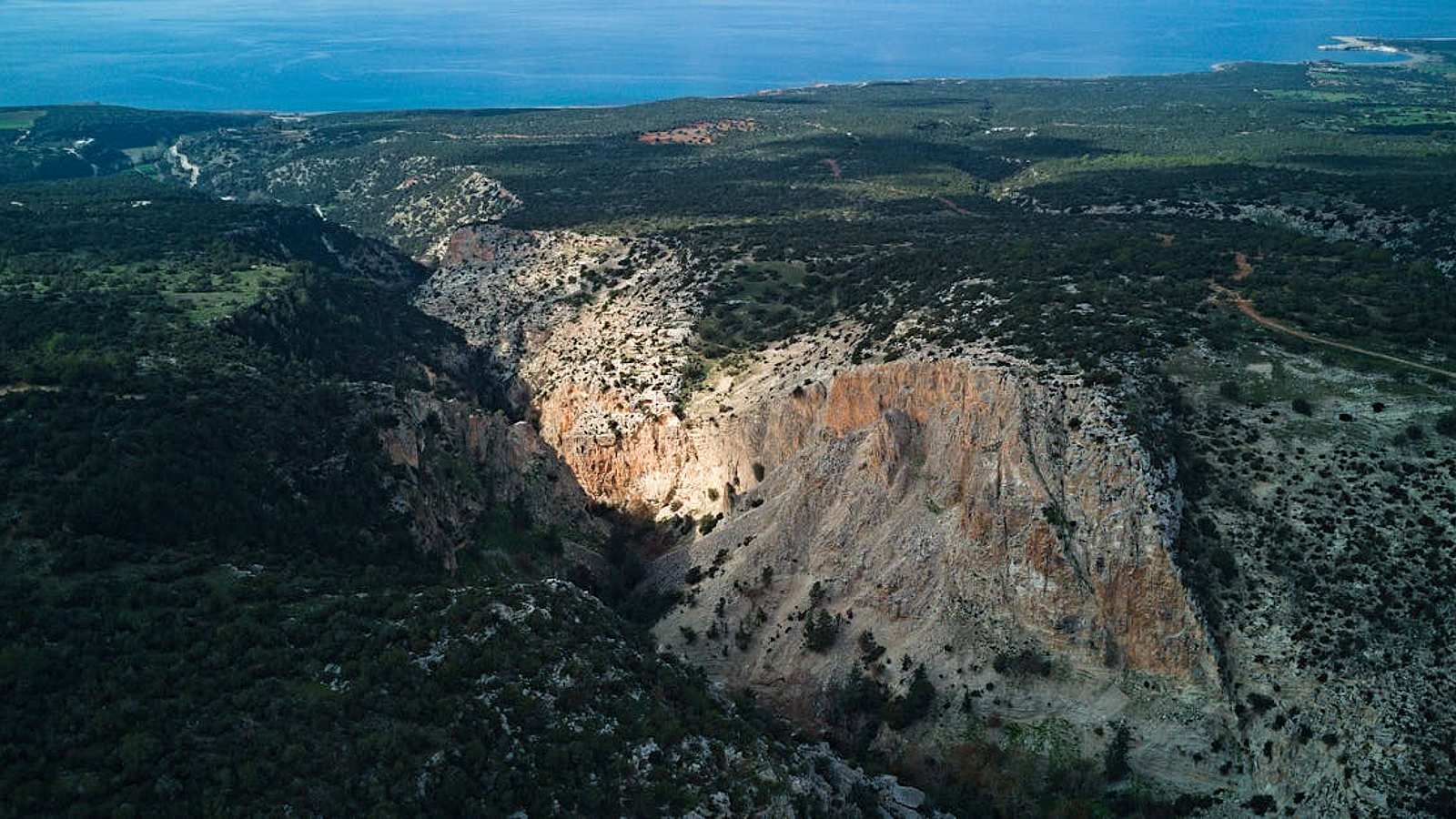 Tour desde Limassol a Troodos, Kykkos, Omodos y Bodega