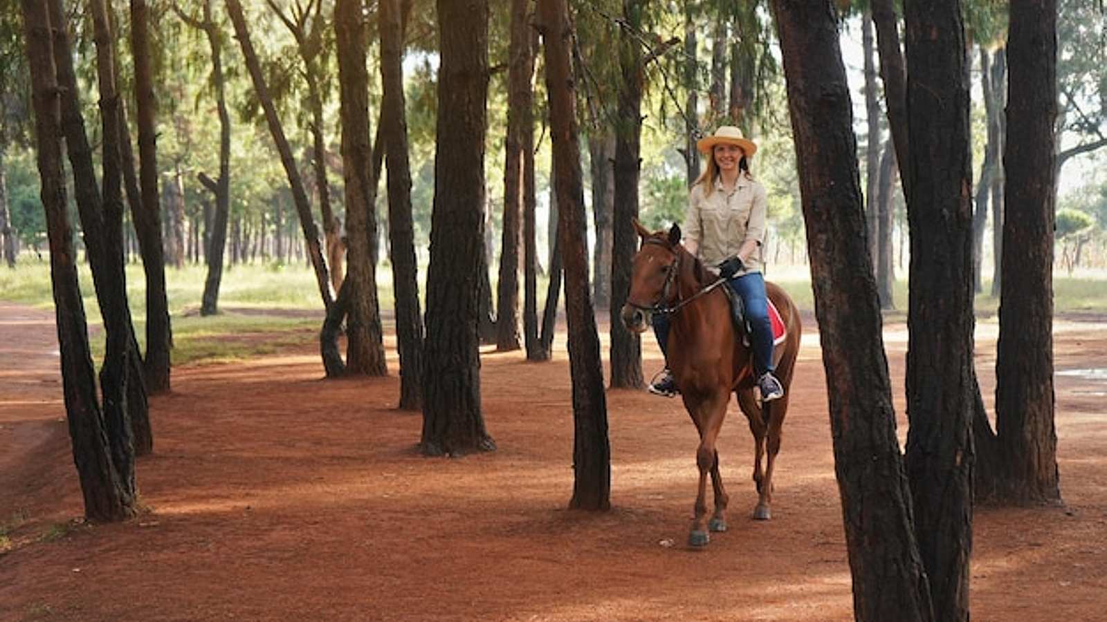 Rides in Acarlar, Turkey