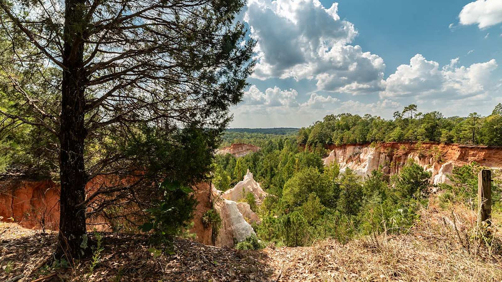 Outdoor-Wandern in Tiflis