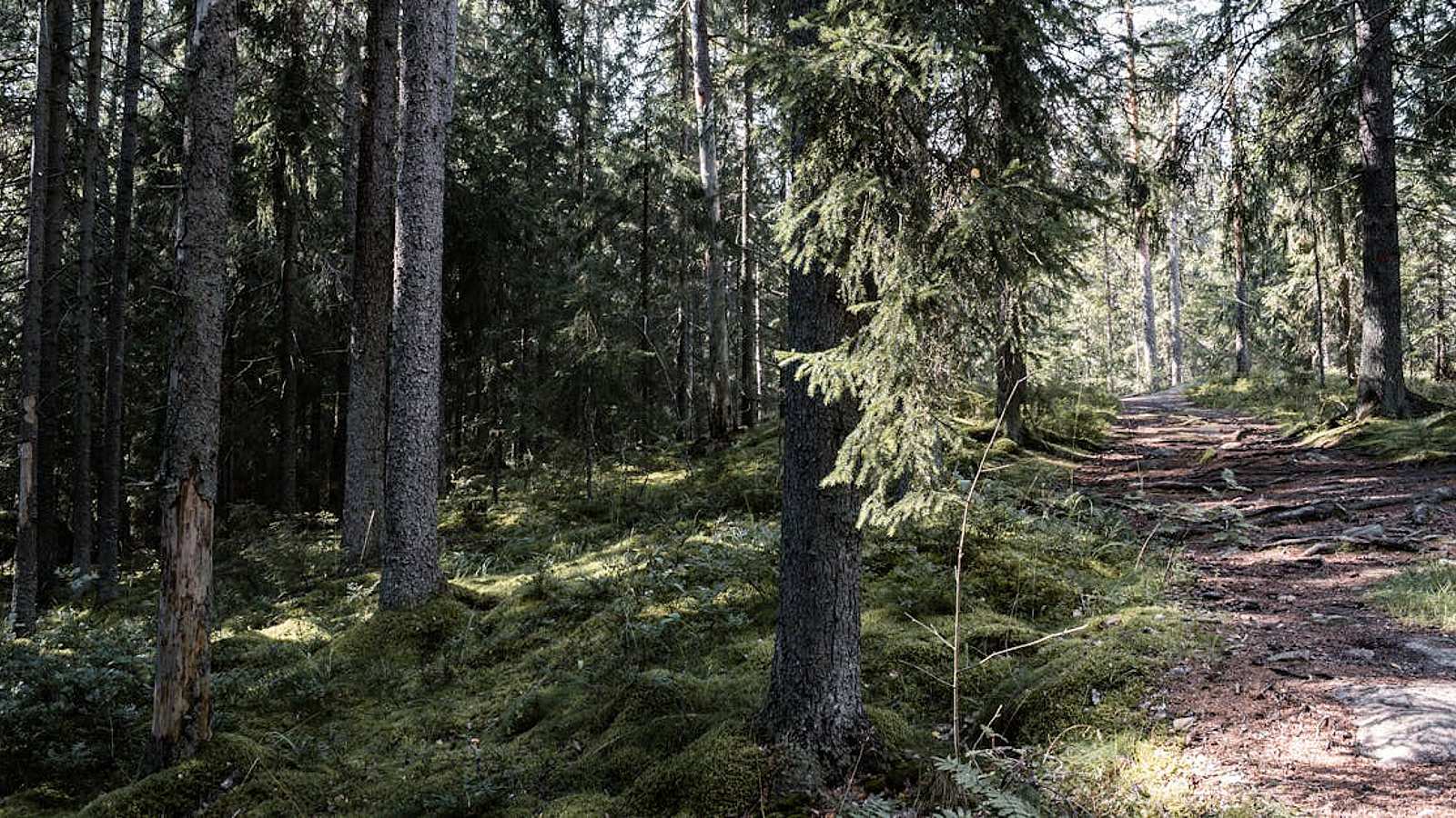 Tours in Pyhäjärvi