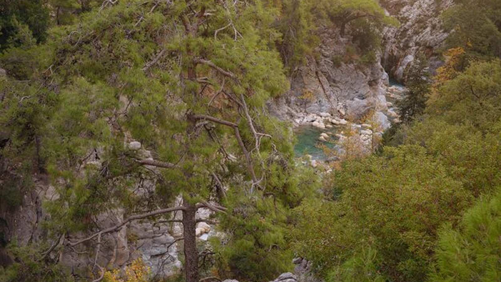 Visitas Recorrido por la naturaleza y ecología en Kemer