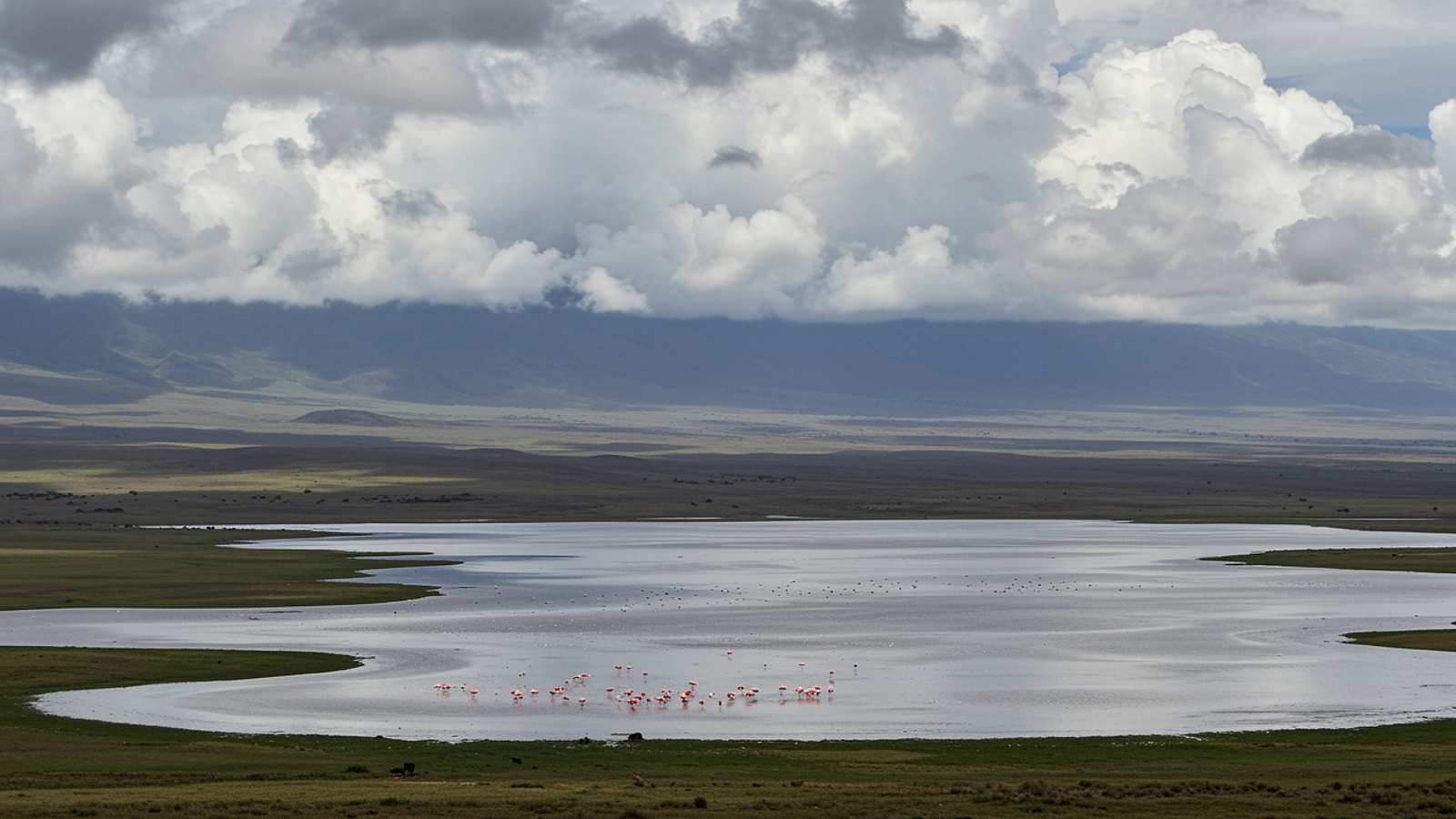 Walking Tour in Tanzania