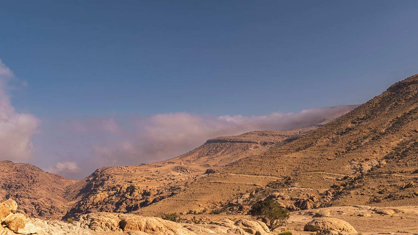 Führungen in Wadi Rum Village