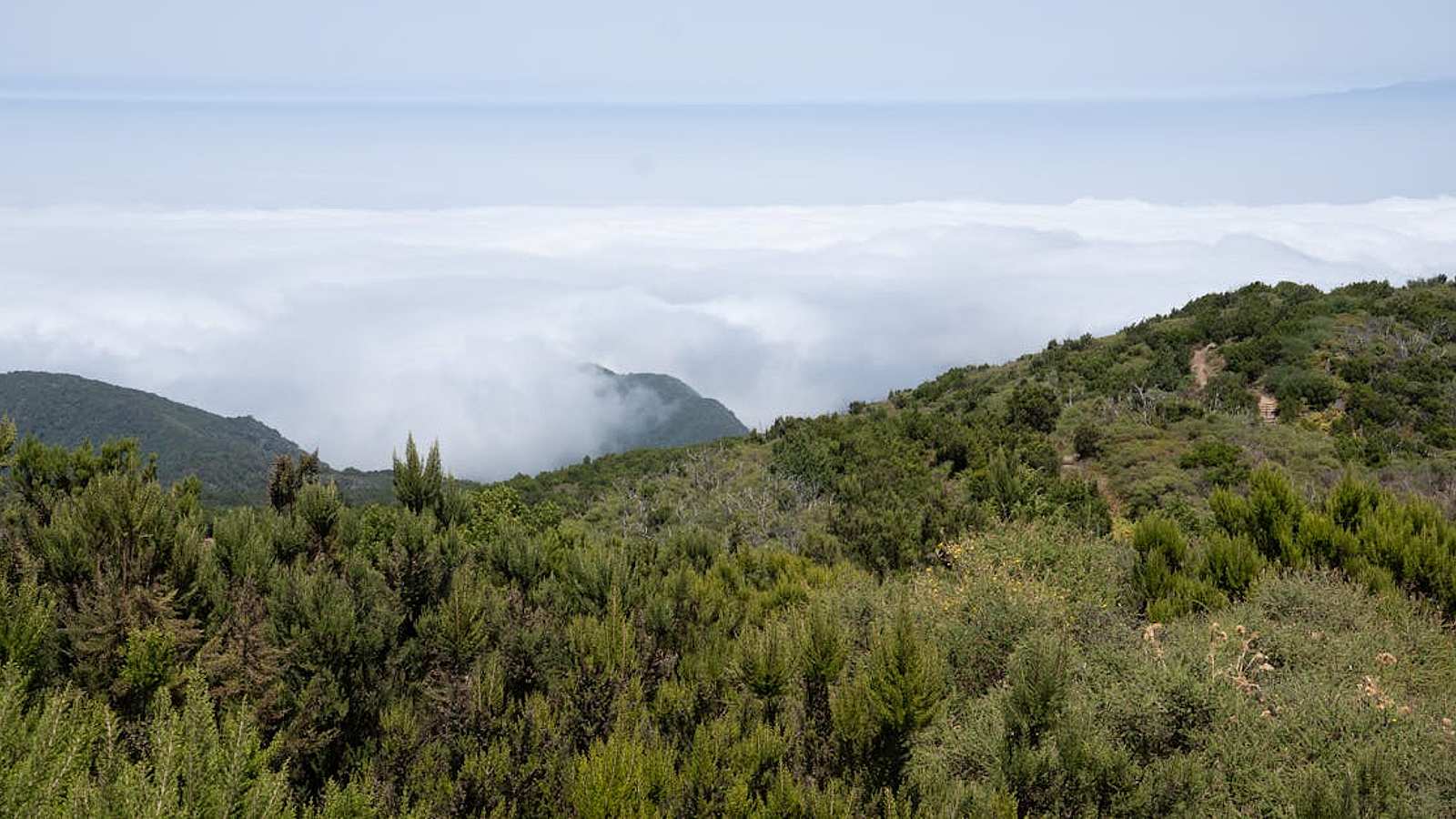 Natura i aktywny wypoczynek w Ibiza