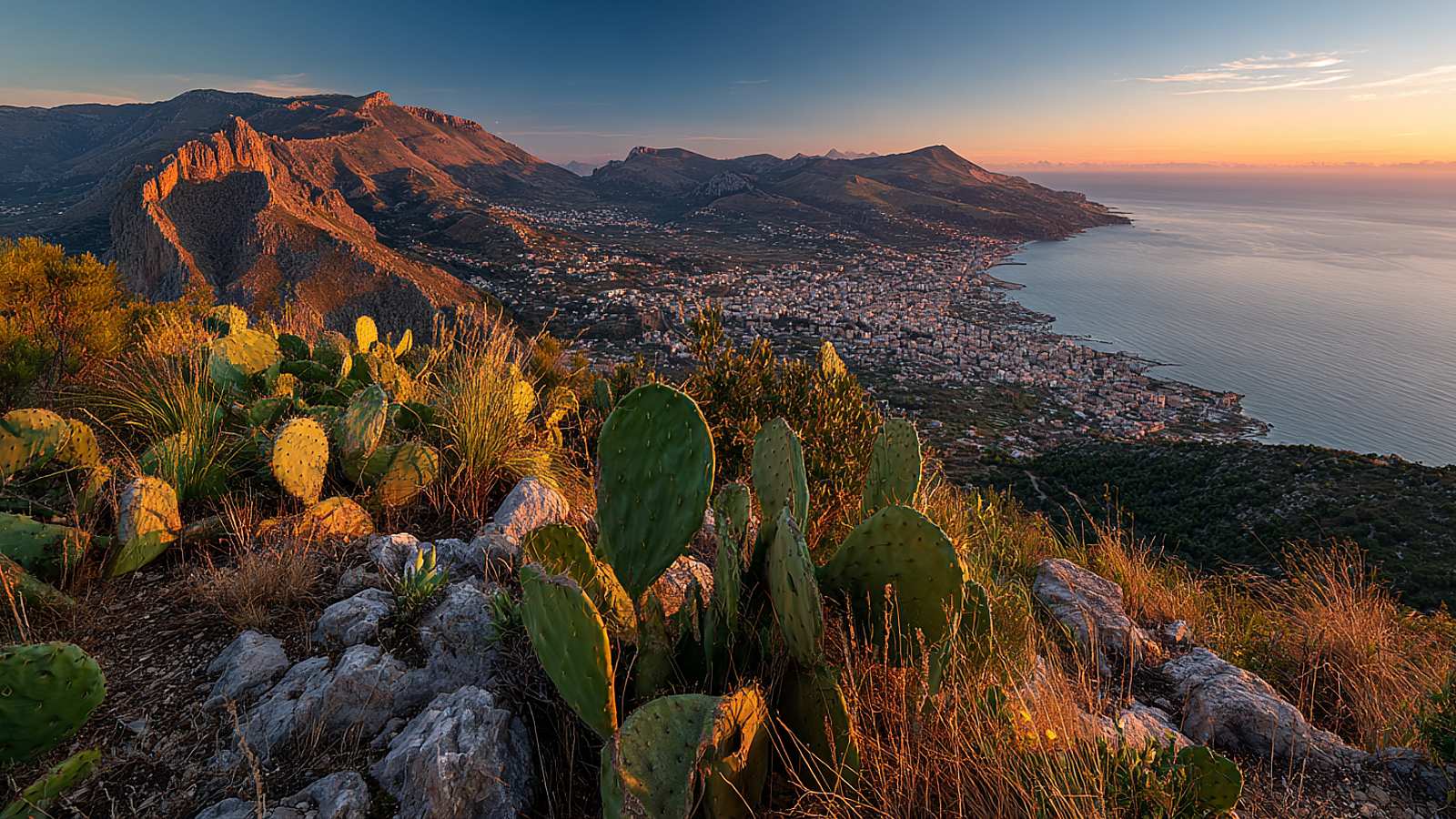 Nature And Outdoors in Palermo