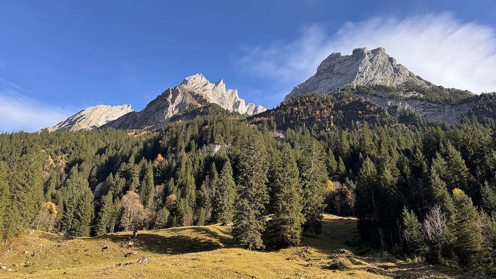 Nature And Ecology Tour in Wilderswil