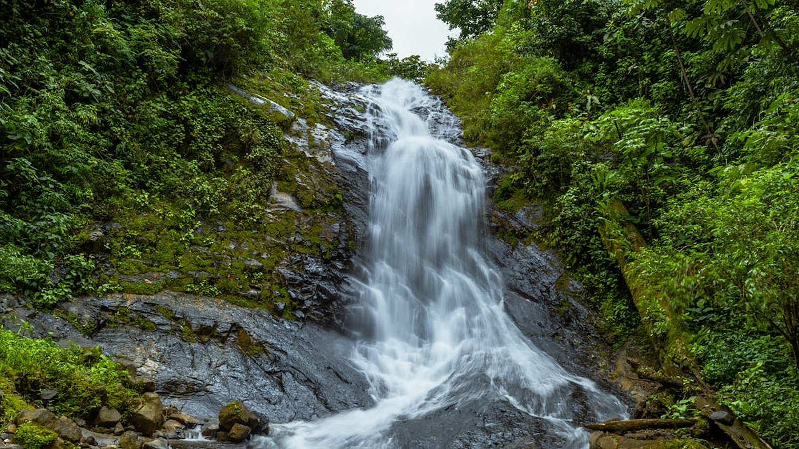 Wildlife in Costa Rica