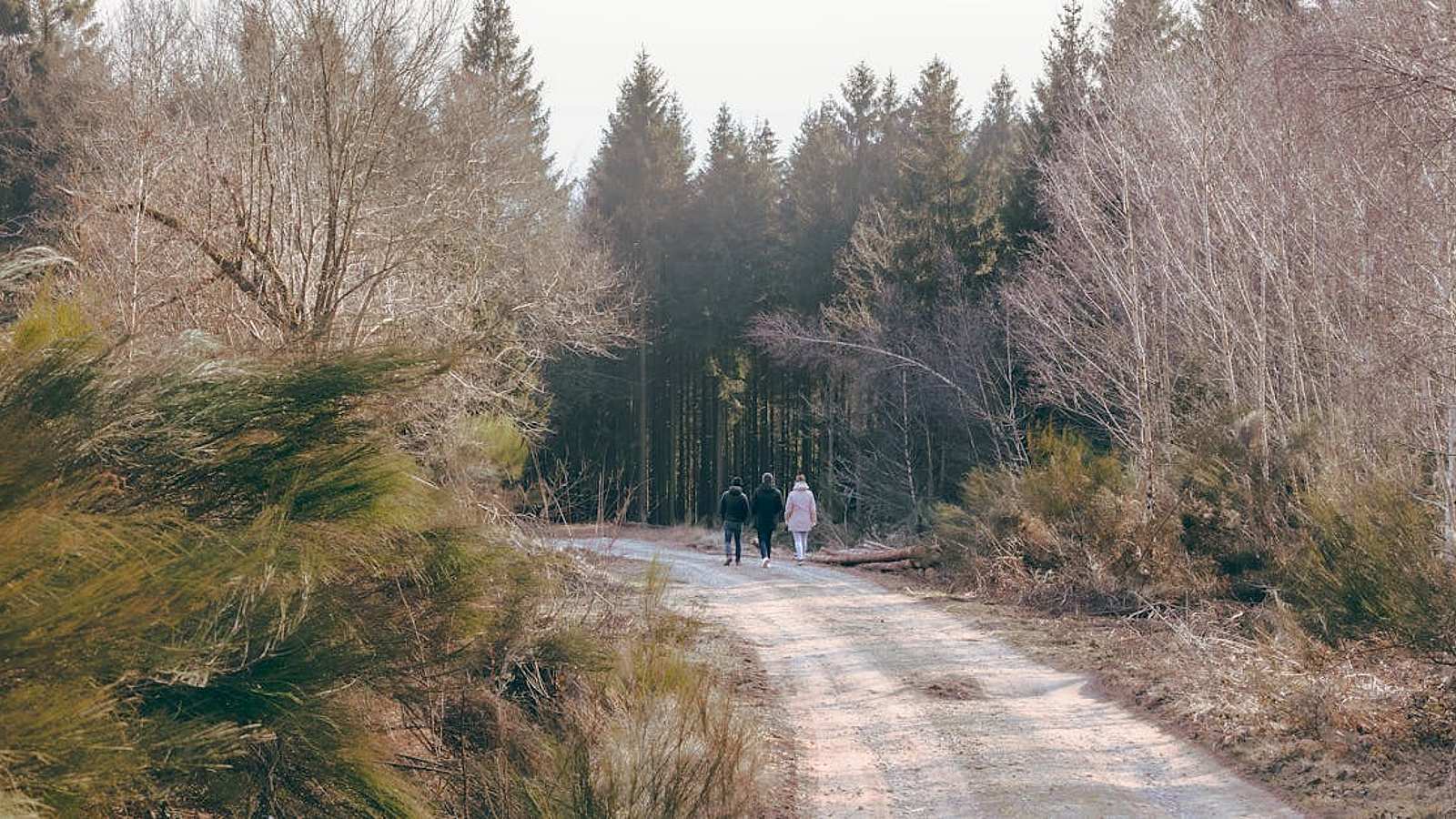 Nature And Outdoors in Bruges
