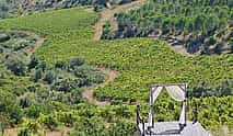 照片 4 Northern Lisbon Wine Tasting