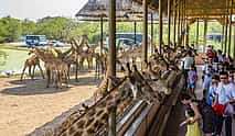 Photo 3 Bangkok: Safari World Tour with Safari and Marine Park Ticket