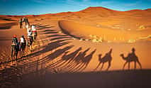 Фото 4 Вечернее сафари по пустыне с катанием на квадроцикле и фотографированием соколов