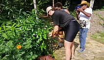 Photo 4 From Kandy Private Guided Hike to Knuckles Mountains Heeloya Village