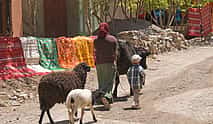 Photo 4 Private Atlas Mountains Berber Culture Experience