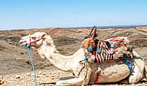 Φωτογραφία 3 Full-day Atlas Mountains and Agafay Desert Tour