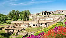 Foto 4 Private day trip: Naples to Pompei and Bomerano and back 