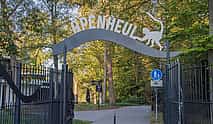 Photo 3 Private transfer: Amsterdam to Arnhem, 2h Stop in Apenheul Park