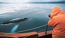 Photo 3 Silent Whale Watching (Carbon Neutral) from Húsavík