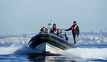 Photo 4 Dolphin Watching Lisbon Boat Tour