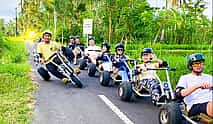 Photo 4 Jungle Cart Ubud: Real-Life Mario Kart Gravity Adventure