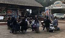 Photo 3 Lion Safari and Cultural Village Experience from Johannesburg