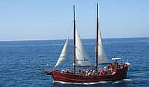 Photo 4 Tour with Whale Watching in Tenerife Peter Pan Boat