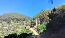 Photo 3 5 Days Authentic Dalat Coffee Farm & Hiking Experience