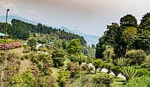 Foto 4 Ruta Darjeeling-Sikkim de 8 días