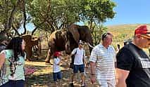 Fotoğraf 3 Visite du Sanctuaire des Éléphants depuis Johannesburg
