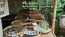 Photo 4 Mt Batur Sunrise & Visit to Luwak Coffee Plantation