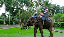 Photo 3 Bali Elephant Safari Park Tour