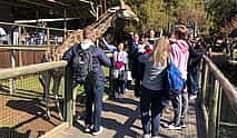 Photo 3 Cradle of Humankind Tour combined with a Lion Safari from Johannesburg