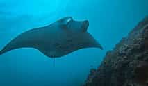 Photo 3 Nusa Penida Snorkeling Adventure