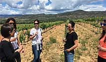 Photo 4 Barcelona 2-Day Gaudi, Sagrada Familia, Montserrat & Winery