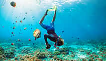 صورة 3 Snorkeling Full-day Tour to Nusa Lembongan and Nusa Penida