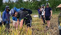 Photo 4 Gowez Bali Cycling Tours