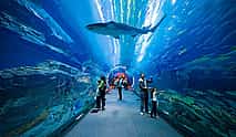 Foto 3 Shopping im Dubai Mall, Unterwasser-Aquarium & Zoo, Burj Khalifa 124./125. Stock & Musikalische Fontänenshow mit privaten Transfers