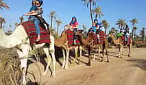 Photo 4 Camel ride in Marrakech Palmeraie Oasis